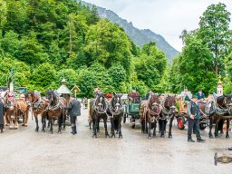 2025_05_25_festsonntag 124